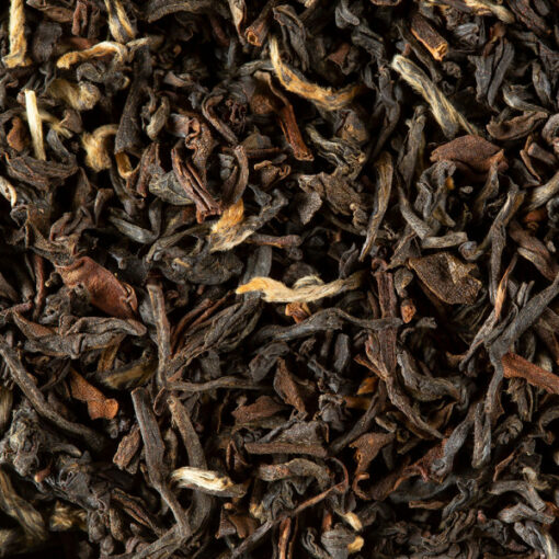 Thé D'inde Darjeeling PHUGURI