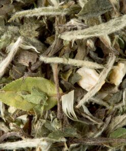 GREAT EARL GREY