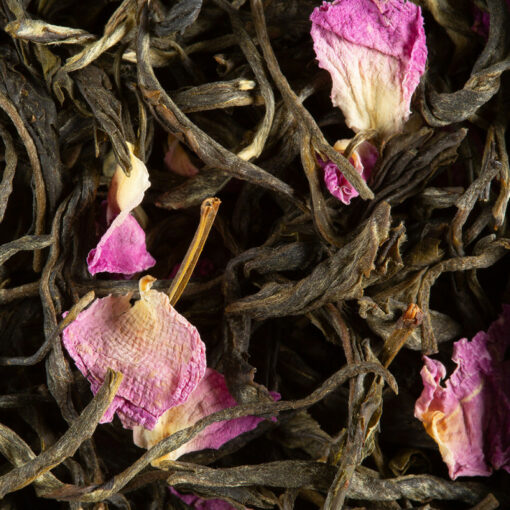 PASSION DE FLEURS